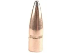 Hornady .308 / 30 165 Grain Soft Point (100 Ct.)