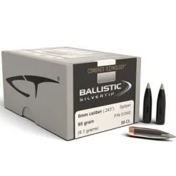 Nosler .243 / 6mm 95 Grain Spitzer Point Ballistic Silvertip (Combined Technology) (50 Ct.)