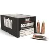 Nosler .366 / 9.3mm 250 Grain Accubond (50 Ct.)