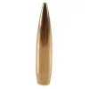 Factory Seconds .243 / 6mm 107 Grain Hollow Point Boat Tail (500 Ct.)