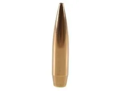 Factory Seconds .243 / 6mm 107 Grain Hollow Point Boat Tail (500 Ct.)