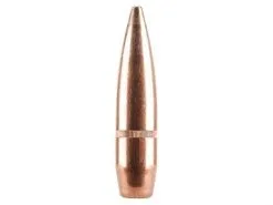 Winchester .500 / 50 BMG 660 Grain Full Metal Jacket (100 Ct.)